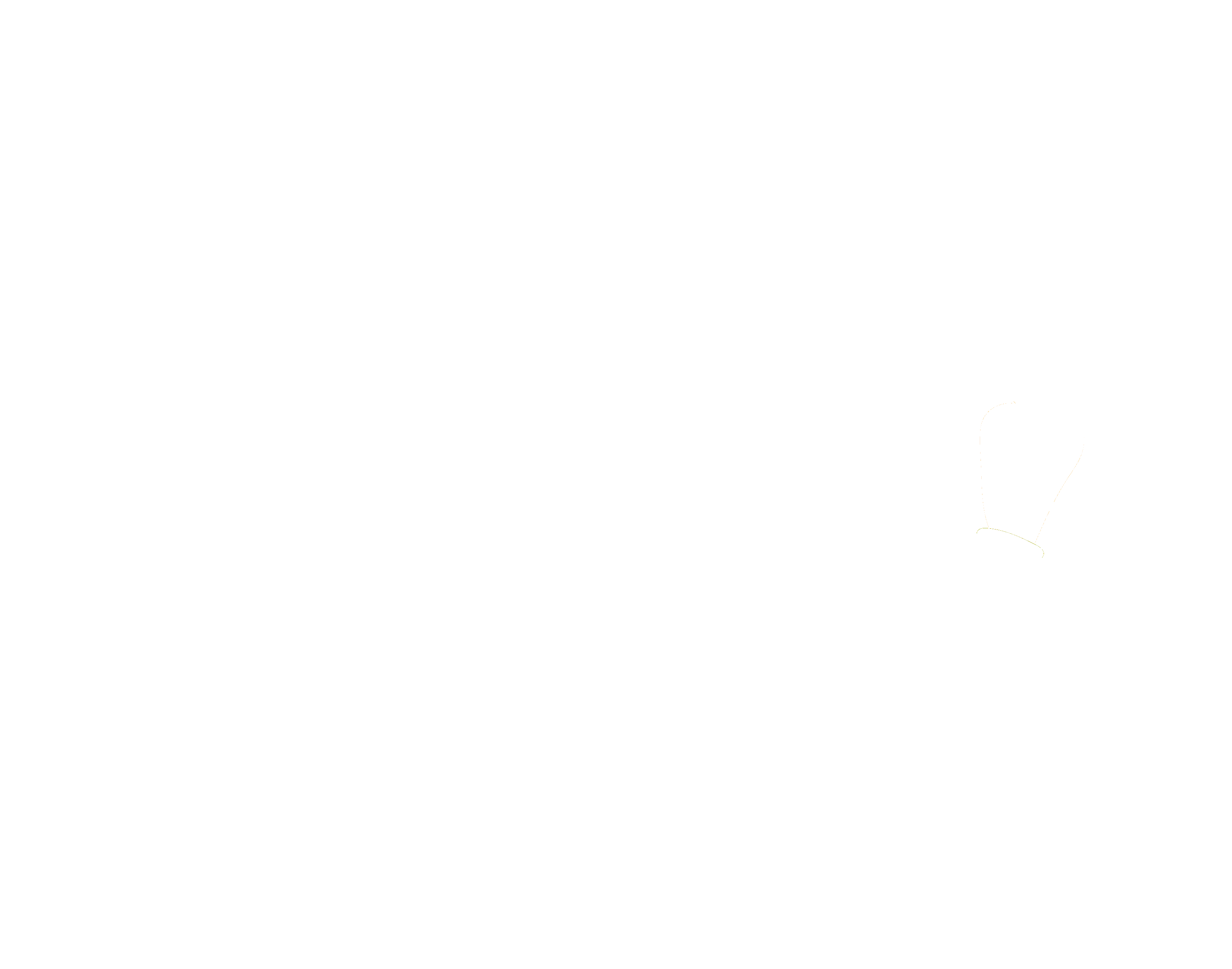 Pilar Schiavo